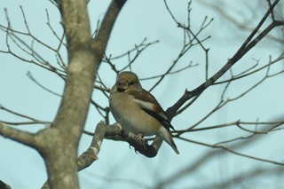 CSC_0168.jpg