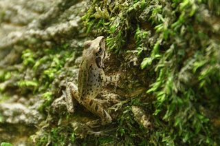 CSC_0638.jpg