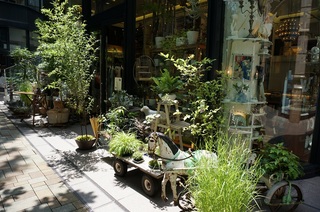 DSC00030.jpg