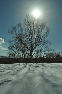DSC_0068.jpg