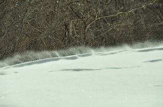 DSC_0090.jpg
