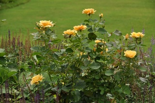 DSC_0127.jpg
