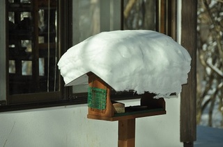 DSC_0155.jpg