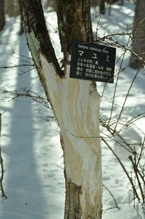 DSC_0167.jpg