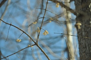 DSC_0168.jpg