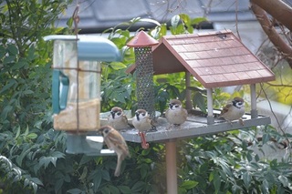 DSC_0199.jpg