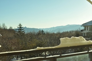 DSC_0300.jpg