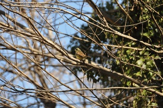 DSC_0310.jpg