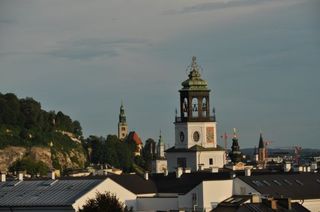 DSC_0339_512.jpg