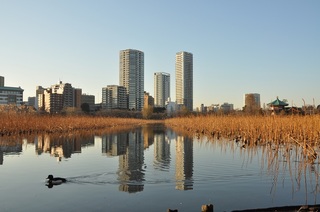 DSC_0345.jpg