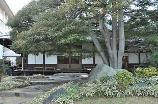 DSC_0387.jpg
