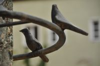 DSC_0469_200.jpg