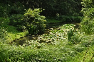 DSC_0521.jpg