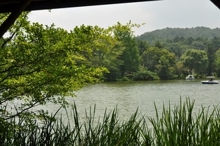 DSC_0576.jpg