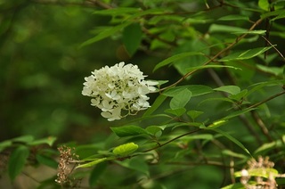DSC_0621.jpg