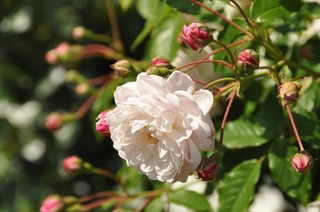DSC_0641.jpg