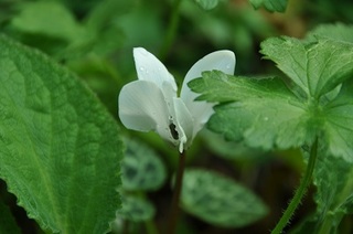 DSC_1909.jpg