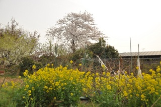 DSC_2571.jpg