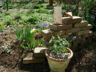 DSCN7993.jpg