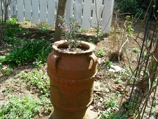 DSCN7994.jpg