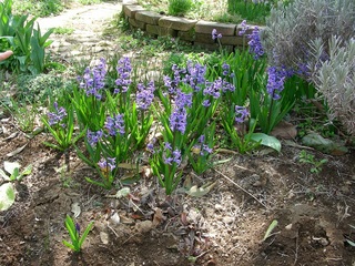 DSCN7995.jpg