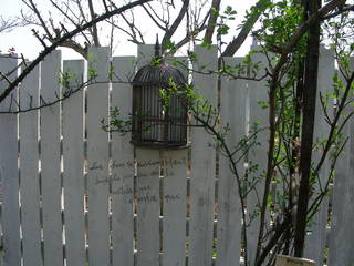 DSCN7999.JPG