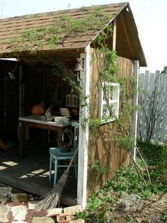 DSCN8006.jpg