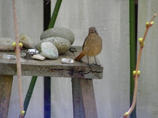 DSCN8027.jpg