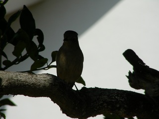DSCN8028.jpg