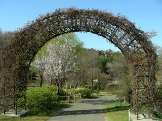 DSCN8031.jpg