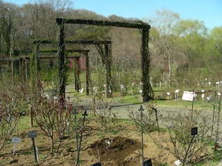 DSCN8032.jpg