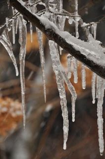 DSC_0034_512.jpg