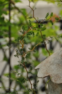 DSC_0105.jpg