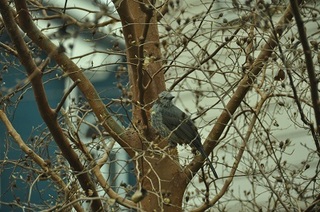 DSC_0165.jpg