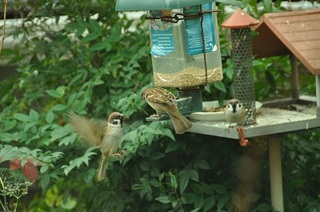 DSC_0168.jpg