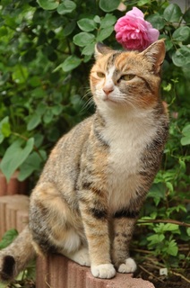 DSC_0169.jpg