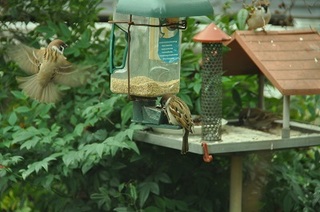 DSC_0183.jpg