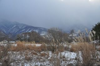 DSC_0193_512.jpg