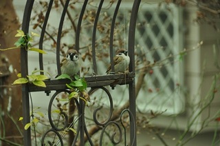 DSC_0196.jpg