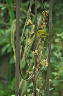 DSC_0197.jpg