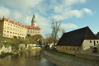 DSC_0395.jpg