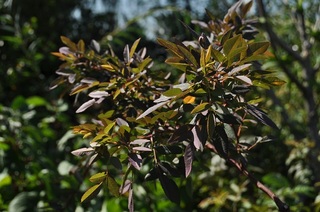 DSC_0431.jpg