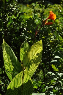 DSC_0459.jpg