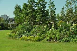DSC_0460.jpg