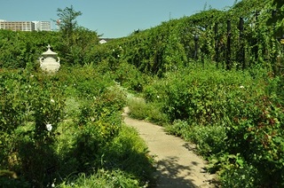 DSC_0484.jpg