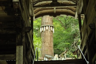 DSC_0512.jpg