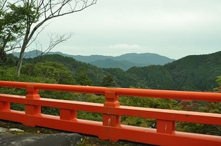 DSC_0516.jpg