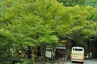 DSC_0537.jpg