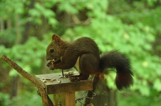 DSC_0539.jpg