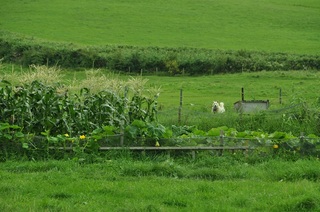 DSC_0893.jpg